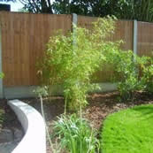 Close-board Panel Fence