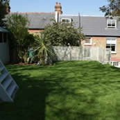 Musswell Hill Garden