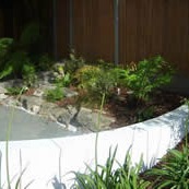 Curved rendered wall enclosing rockery