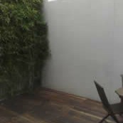 Large rendered wall at back of small courtyard garden
